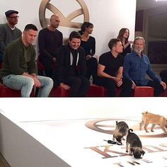 a group of people sitting in front of a table with dogs on top of it