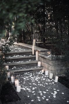 many candles are lit on the steps in front of some bushes and trees with petals scattered all over them