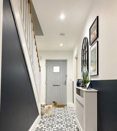 a dog is standing in the hallway next to some stairs and pictures on the wall