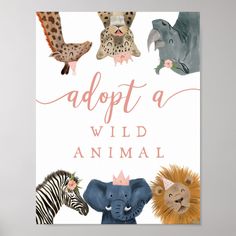 a poster with animals on it that says adopt a wild animal, and the words adopt a