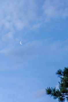 the moon is in the blue sky with some clouds above it and a pine tree