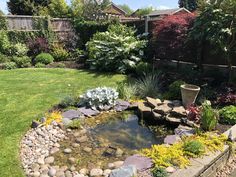 a small pond in the middle of a garden