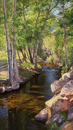 an oil painting of a stream in the woods with rocks and trees around it,