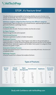 an info sheet with instructions on how to use the correct tool for dental care and hygiene