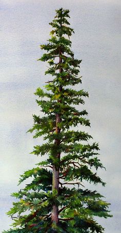 a painting of a tall pine tree in the middle of a field with grass and trees around it