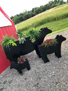 two black bear planters sitting on gravel next to a red barn and grass field