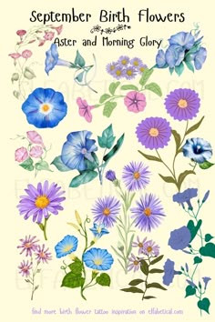 an image of flowers with the words, september birth flowers