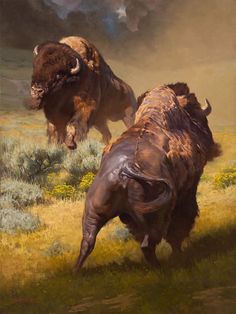 Dustin Van Wechel, Illustration Art Animals, Buffalo Painting, Bison Art, Buffalo Art, Western Artwork, American Bison, Wildlife Paintings, Cowboy Art