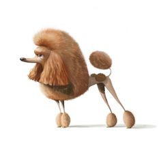 the poodle is standing on its hind legs and it's hair blowing in the wind