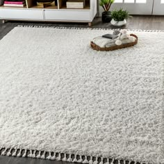 a large white rug in the middle of a living room with a basket on the floor