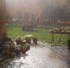 the rain is coming down on some potted plants in the yard, and there are many pots with plants growing out of them