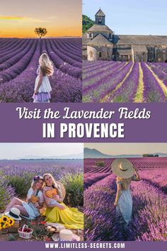 lavender fields with the words visit the lavender fields in provene on top and bottom