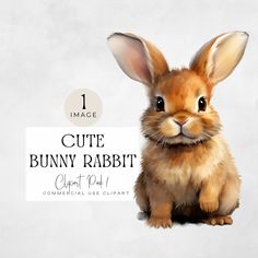 an image of a bunny rabbit with the words cute bunny rabbit next to it