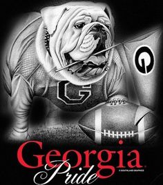 a drawing of a bulldog laying on top of a football field with the words georgia pride