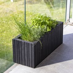 a black planter filled with green plants on top of a cement floor next to a glass wall