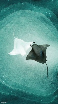 a painting of a manta ray swimming in the ocean with water bubbles around it