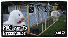 a chicken in a coop with the words pwc lean to greenhouse part 3