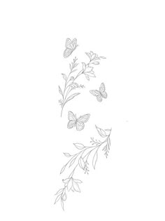 a drawing of some flowers and butterflies on a white background