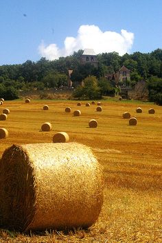 large bales of hay in an open field on a sunny day with houses in the background