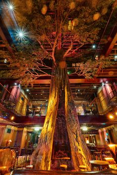 the interior of a restaurant with a tree in the center