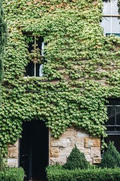 an old building covered in green ivy