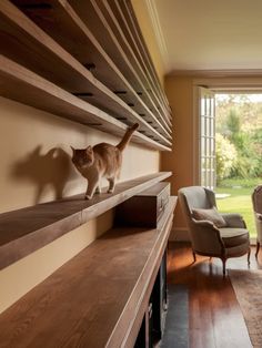 a cat standing on top of a shelf in a living room next to a chair