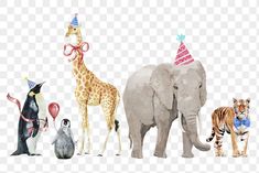 an elephant, giraffe, penguin and zebra are all wearing party hats