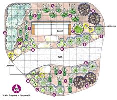 a garden plan with various plants and trees