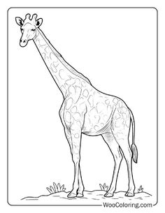 a giraffe standing in the grass coloring page