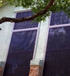 a cat sitting on the ledge of a window sill next to a tree and building