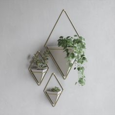 three triangle shaped plants hang on the wall next to each other, one with a plant in it