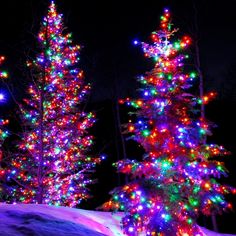 brightly lit christmas trees in the snow at night with bright lights on them and one tree covered in snow