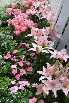 pink and white flowers line the side of a bench