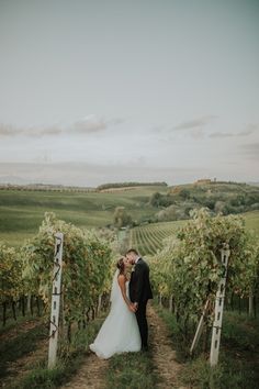 a bride and groom standing in the middle of a vineyard