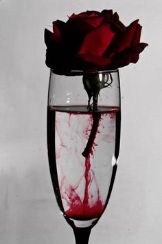 a red rose in a wine glass filled with water