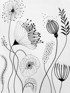 black and white drawing of flowers on a white background with lines in the middle that make it look like they have been drawn