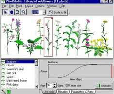 an image of plants and flowers in the computer screen