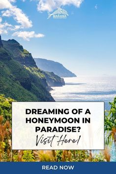 One of the best honeymoon destinations is a hidden gem. For an unforgettable time as newlyweds, a honeymoon in Kauai is paradise and we're sharing why you don't want to miss it. If you're planning a Hawaii destination wedding, a Kauai honeymoon is even more ideal. Learn more about why Kauai Hawaii is one of the best honeymoon destinations for a dream honeymoon when you read now at Makana Charters. | weddings in hawaii Hawaii Honeymoon Packing List, Kauai Hawaii Honeymoon, Hawaii Honeymoon Resorts, Small Hawaii Wedding, Hawaii Wedding Reception, Kauai Honeymoon, Hawaii Garden, Kauai Hiking, Honeymoon In Hawaii