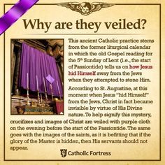 a page with an image of a purple curtain and the words, why are they veiled?