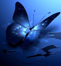 a blue butterfly flying over water with its wings spread out to the side and it's eyes open