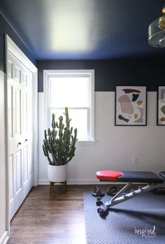 a plant in a white pot sitting next to a window on top of a hard wood floor