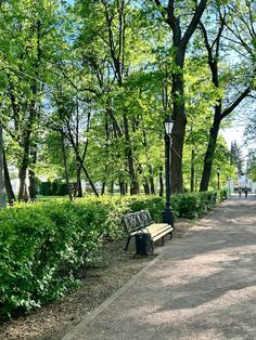 an empty park with benches and trees