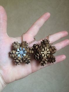 three small pine cones sitting on top of a person's hand