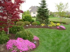 a garden with flowers and trees in the background