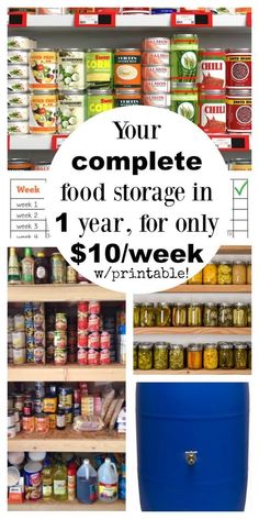 Emergency Preparedness Food Storage, Prepper Food, Organized Mom