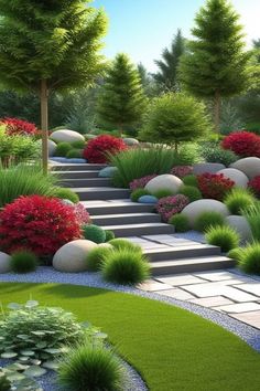 a garden with lots of plants and rocks