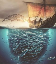 an image of a boat in the ocean full of fish