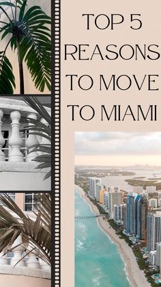 the top five reasons to move to miami, including an ocean view and palm trees