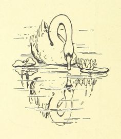 a drawing of a swan in the water with its head above the water's surface