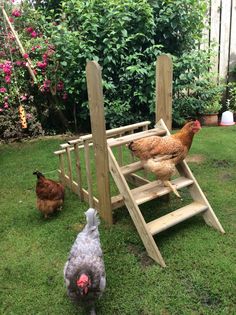 two chickens and one chicken are standing in the grass next to a ladder that is made out of wood